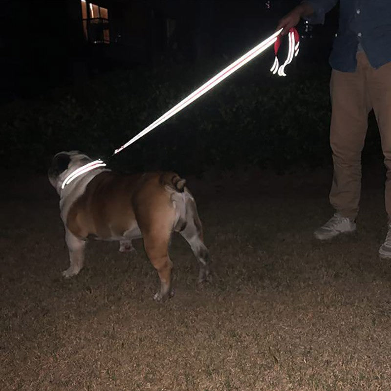 Guia Refletiva para Cães - 1,2 m a 1,8 m